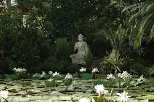 Buddha statue in front of a lush garden pond