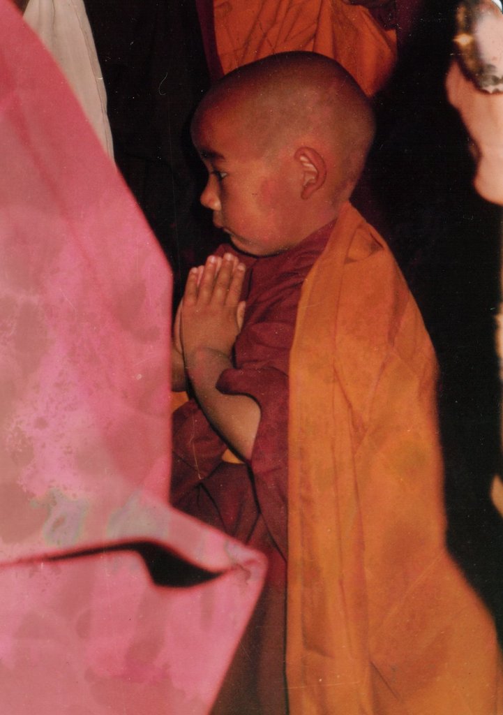 Make the Ageless Wisdom of Tibet Available to All