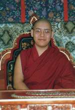 Ling Rinpoche VII