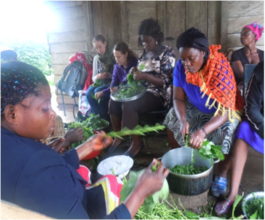 Cooking Demonstration in Mamu Village