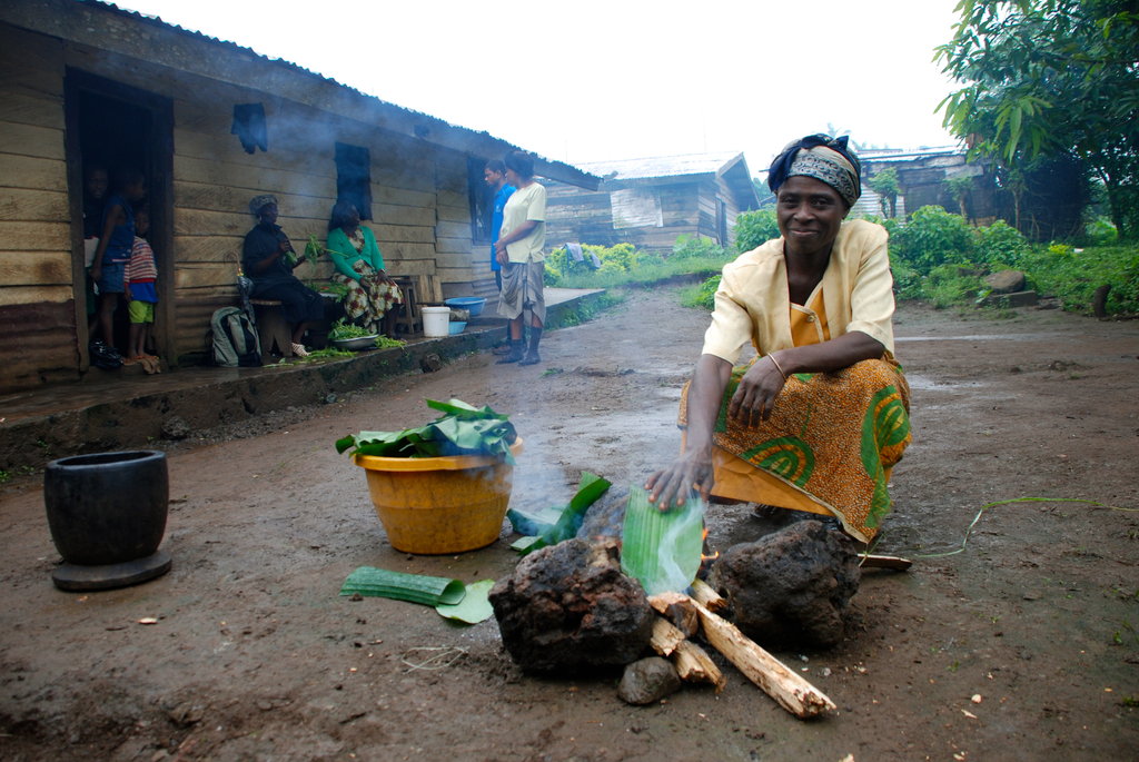 Healthy Diets for Healthy Communities in Cameroon