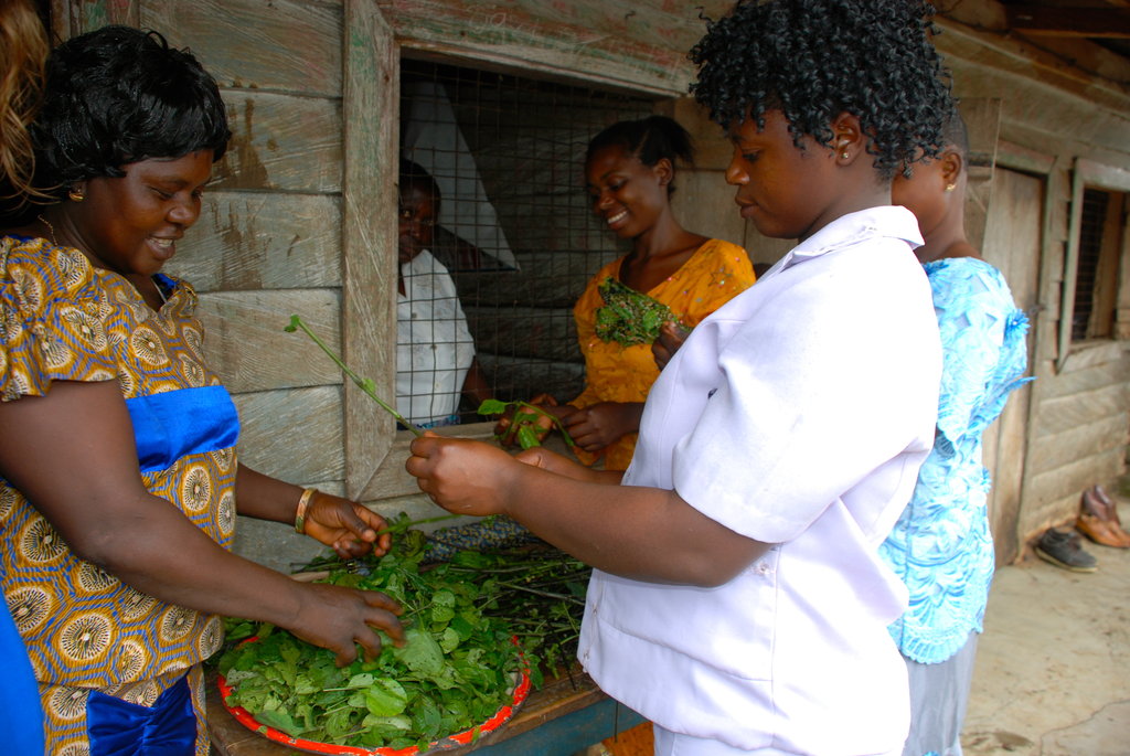 Healthy Diets for Healthy Communities in Cameroon