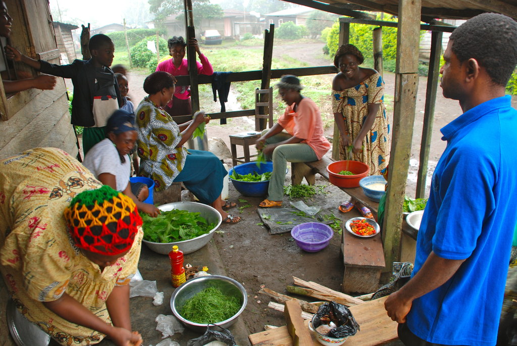 Healthy Diets for Healthy Communities in Cameroon