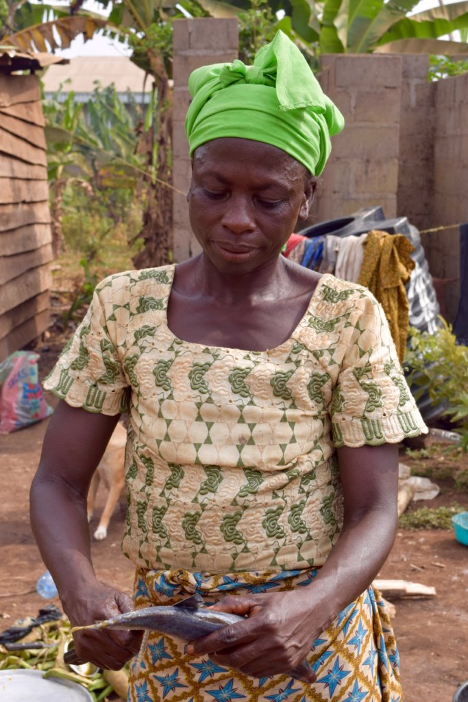 Healthy Diets for Healthy Communities in Cameroon
