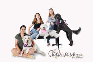 Three Most Recent Service Dog Teams
