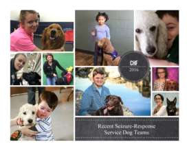 Recent Seizure-Response Service Dog Teams