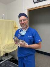 Dr. Scot, orthopedic veterinary surgeon