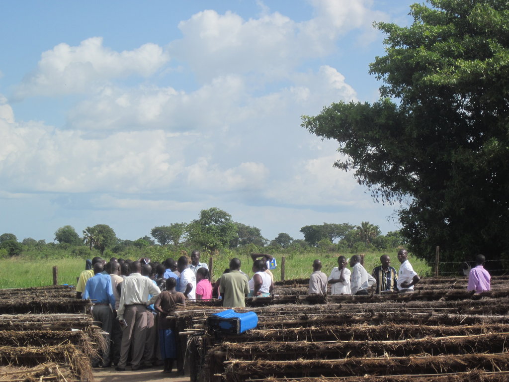 community of pangang to be saved by agroforestry