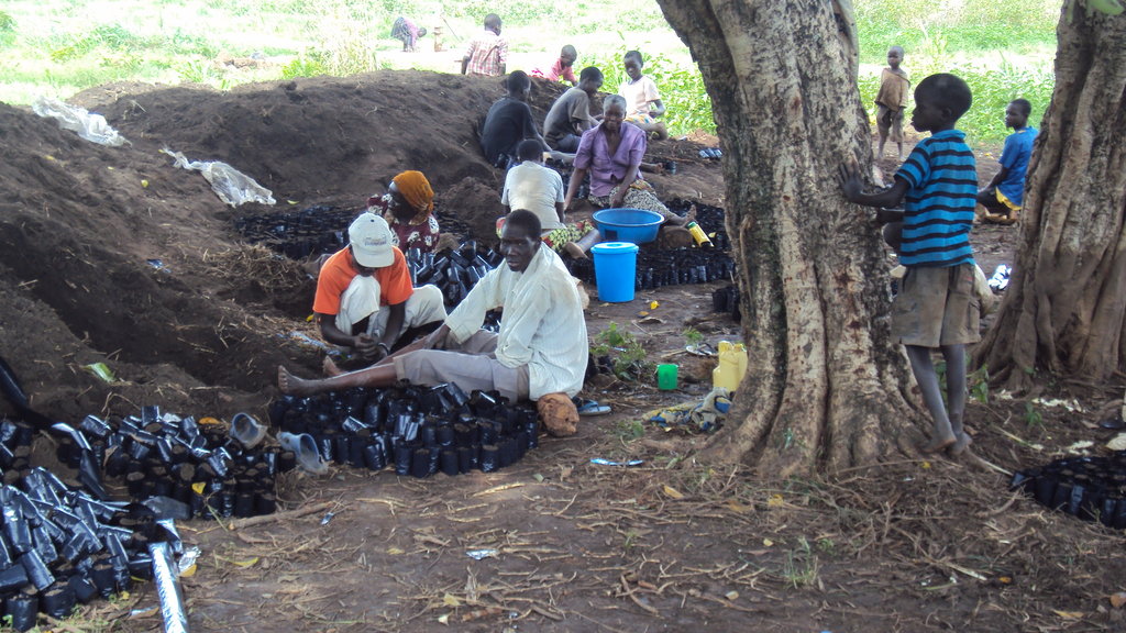 community of pangang to be saved by agroforestry