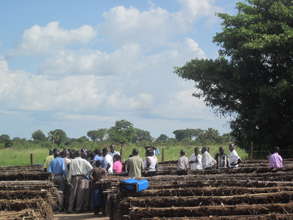 3D-RFI nursery site