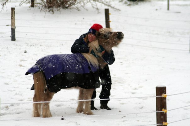 Provide Equine Therapies For 100 Children In Need