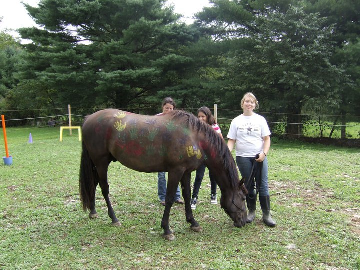 Provide Equine Therapies For 100 Children In Need