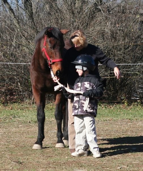 Provide Equine Therapies For 100 Children In Need