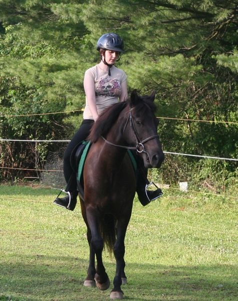 Provide Equine Therapies For 100 Children In Need