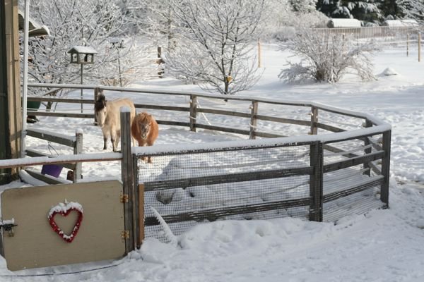 Provide Equine Therapies For 100 Children In Need