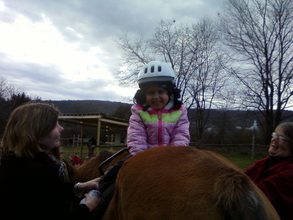 Provide Equine Therapies For 100 Children In Need