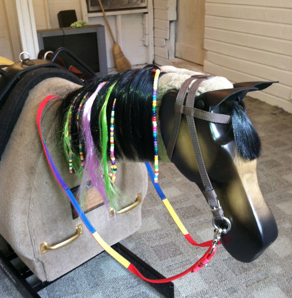Provide Equine Therapies For 100 Children In Need