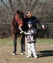 Horsemanship