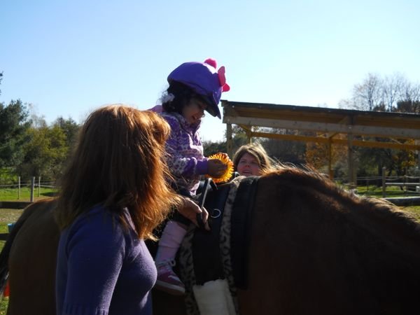 Provide Equine Therapies For 100 Children In Need