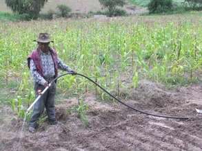 Older farmer tending his plot