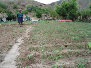 Older woman from Tarabuco in her vegetable garden