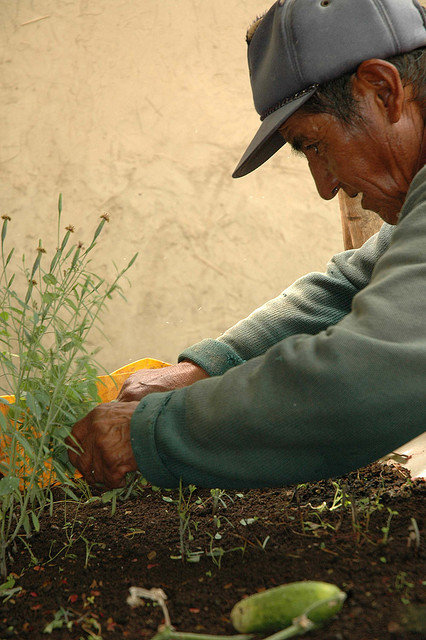 Help older people fight food insecurity in Bolivia