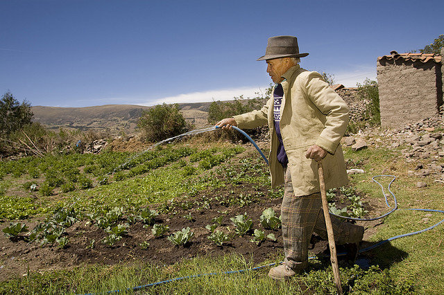 Help older people fight food insecurity in Bolivia