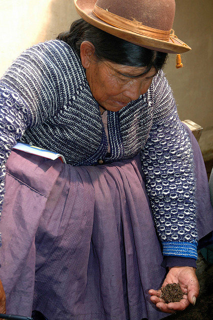 Help older people fight food insecurity in Bolivia