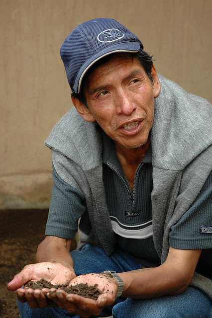 Help older people fight food insecurity in Bolivia