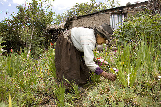 Help older people fight food insecurity in Bolivia