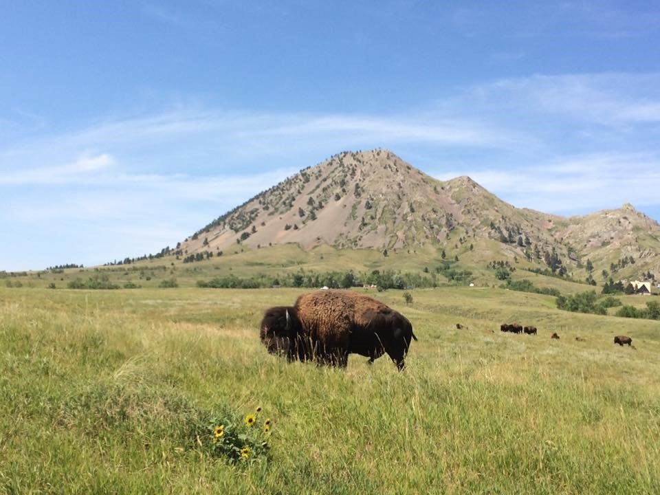 Journey to Mato Paha (Bear Butte) Sturgis, SD