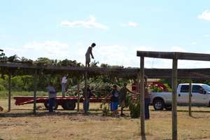 Covering the Arbor with pine boughs