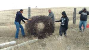 Fencing