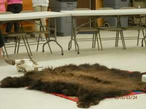 Buffalo Robe Buffalo Skull Preparing