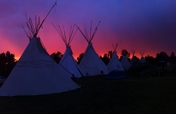 Reclaim land for buffalo and Lakota lifeways