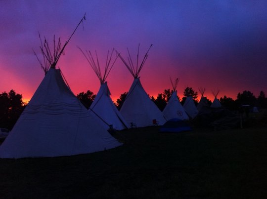 Reclaim land for buffalo and Lakota lifeways - GlobalGiving Reclaim land for buffalo and Lakota lifeways - GlobalGiving