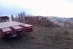 Wood Cutting Project for Sacred Ceremonies