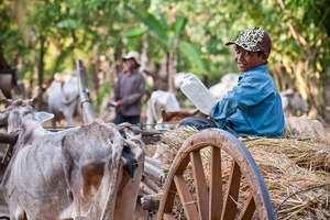Social Enterprise Opportunities