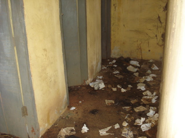 Build toilets for school children in Nigeria.