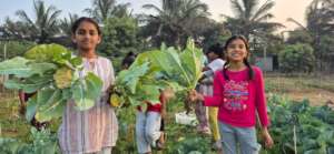 With Cauliflowers, the super food