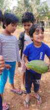 Children picking fruits