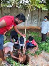 Children planting trees during the Founder's day