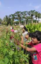 Children enjoying the plants at our garden