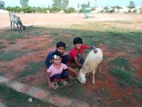 Sana, Sivagami, and Vijaya with the farm animal
