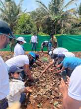 Planting seedlings, World Environment Day