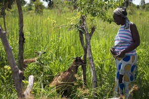 Lucy received goats for livelihood through GWED-G