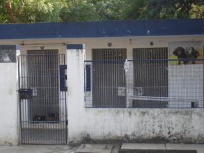 Dog kennel