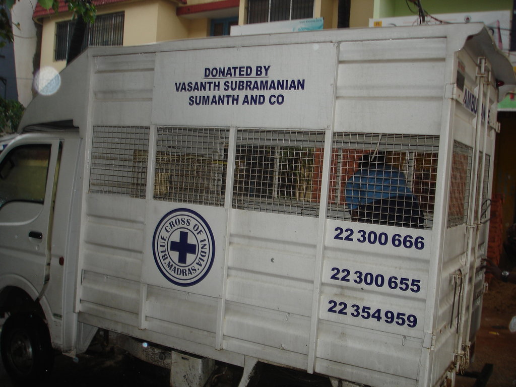 Spay and Neuter 2000 Cats and Dogs in Chennai