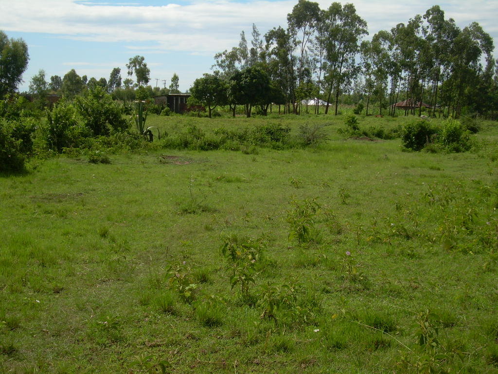 BUILD SCHOOL FOR 500 POOR SLUM CHILDREN IN KISUMU