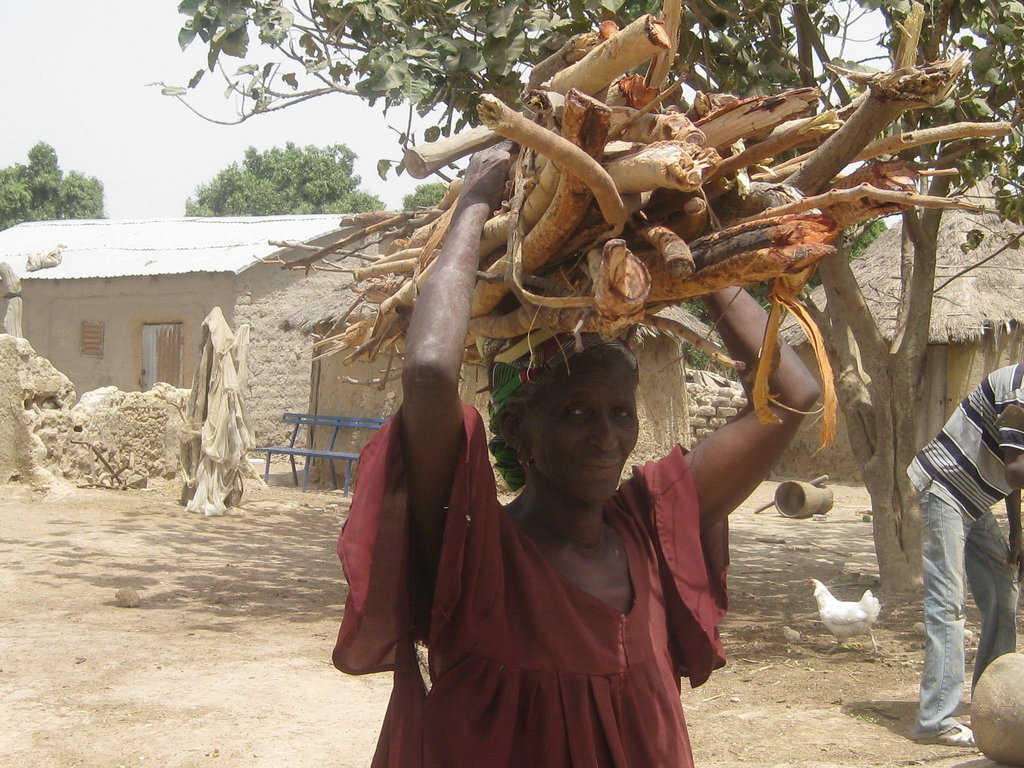 Solar energy for 2,500 villagers in Salamale, Mali
